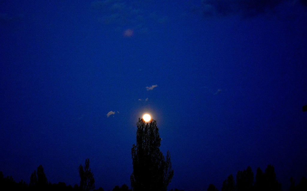 072 - La luna del Caño en su Nido