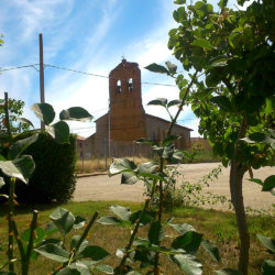 Iglesia entre Vegetación